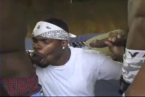 dirty Jr 