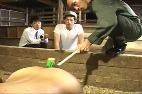 (recent sexual) homo Milk Farm-01