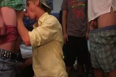 College boyz engulfing And banging
