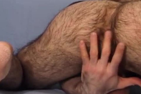 Very hairy stud Brad Jerks And Cums