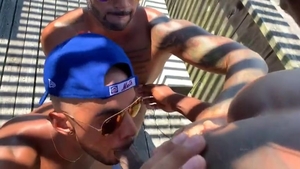 Checking Out The Neighbors On Porch In Fire Island