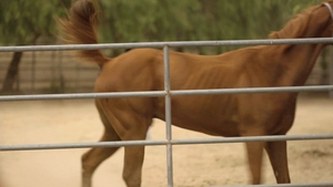 Icon Male: Sweating Studs Share a Shower